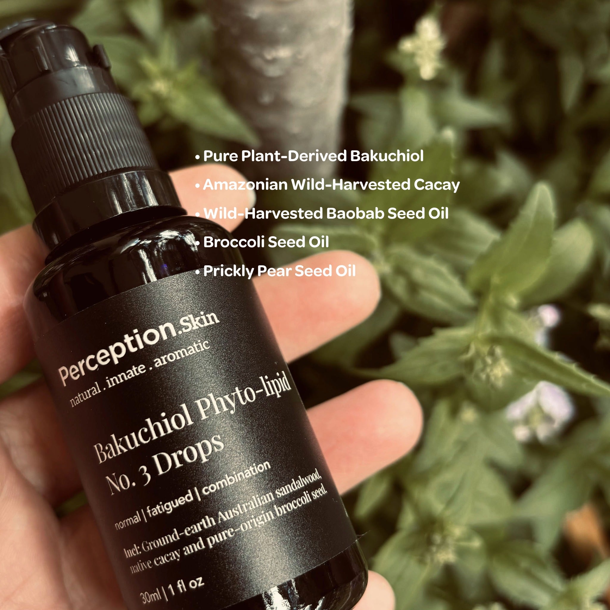 Bakuchiol Phyto-Lipid Drops No. 3 - Perception Skin