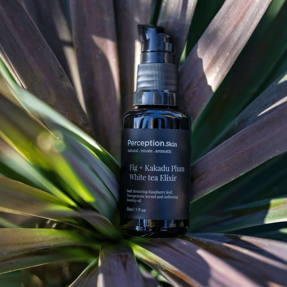 Award - Winning Fig + Kakadu Plum White Tea Elixir - Perception Skin