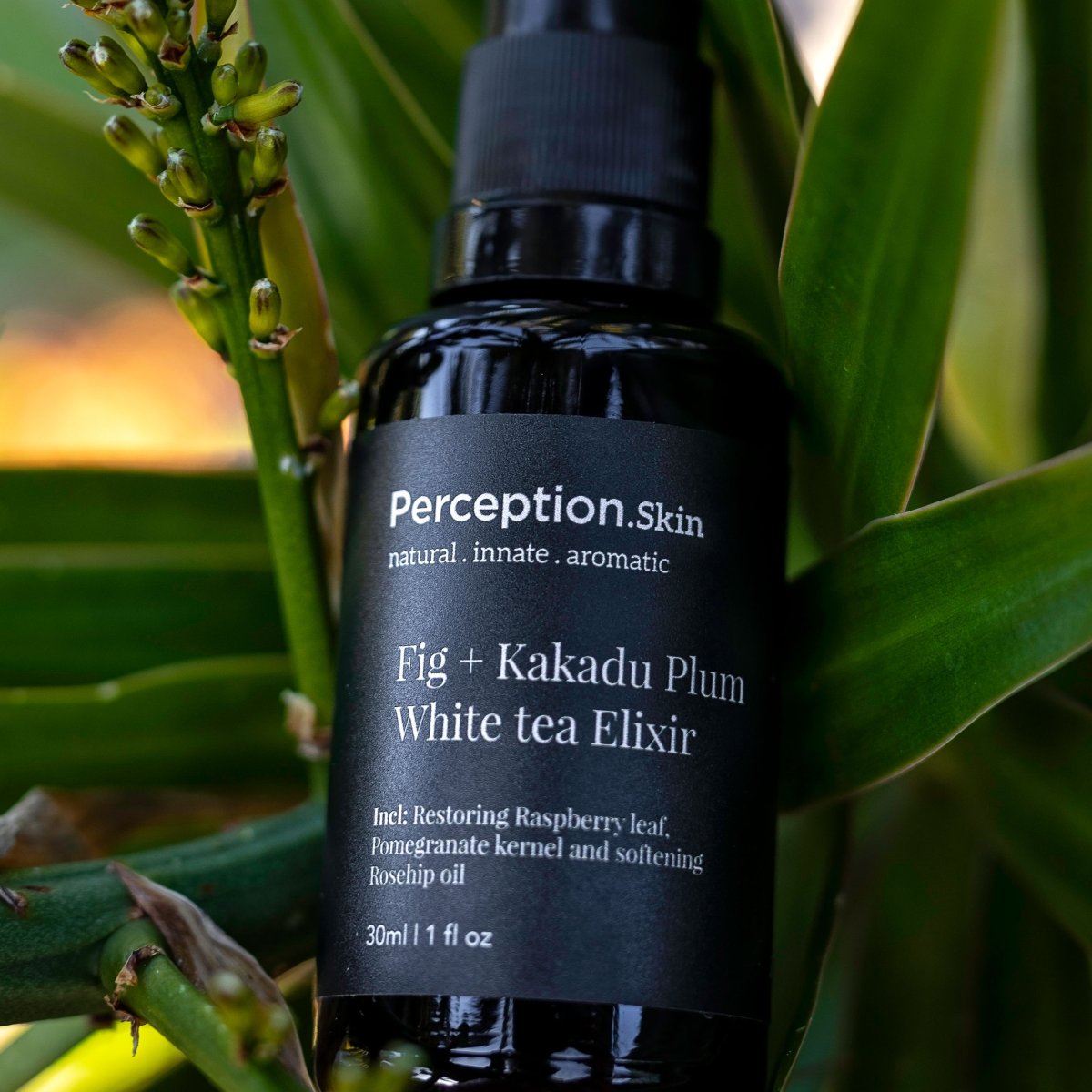 Perception Skin Fig + Kakadu Plum White Tea Elixir bottle with green leaves in the background