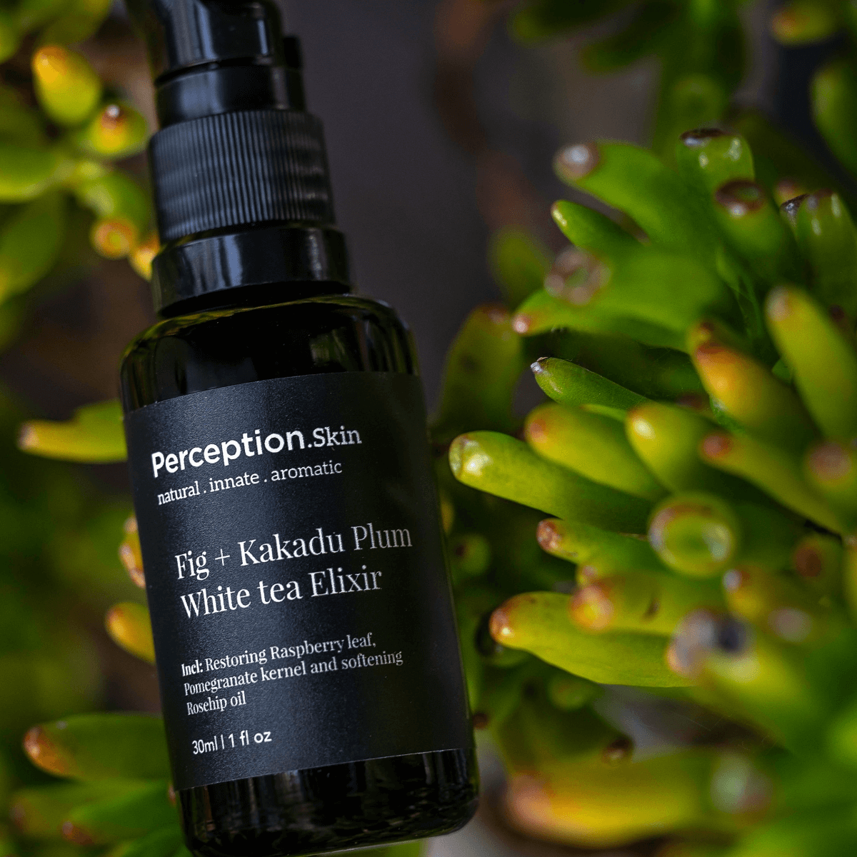 Award - Winning Fig + Kakadu Plum White Tea Elixir - Perception Skin
