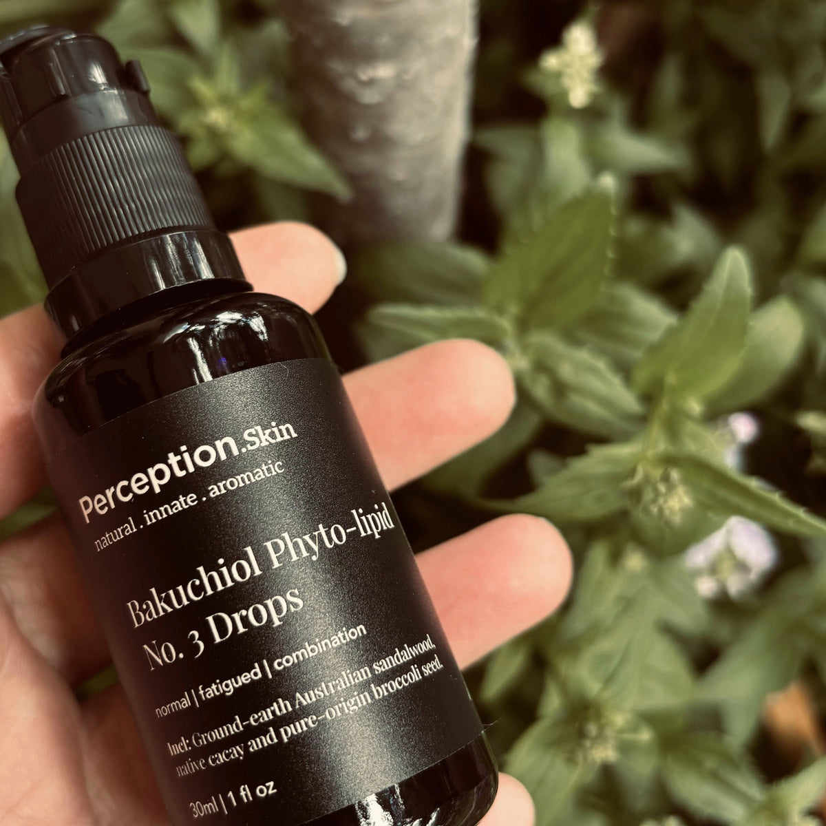 Bakuchiol Phyto-lipid Drops No. 3 - Perception Skin