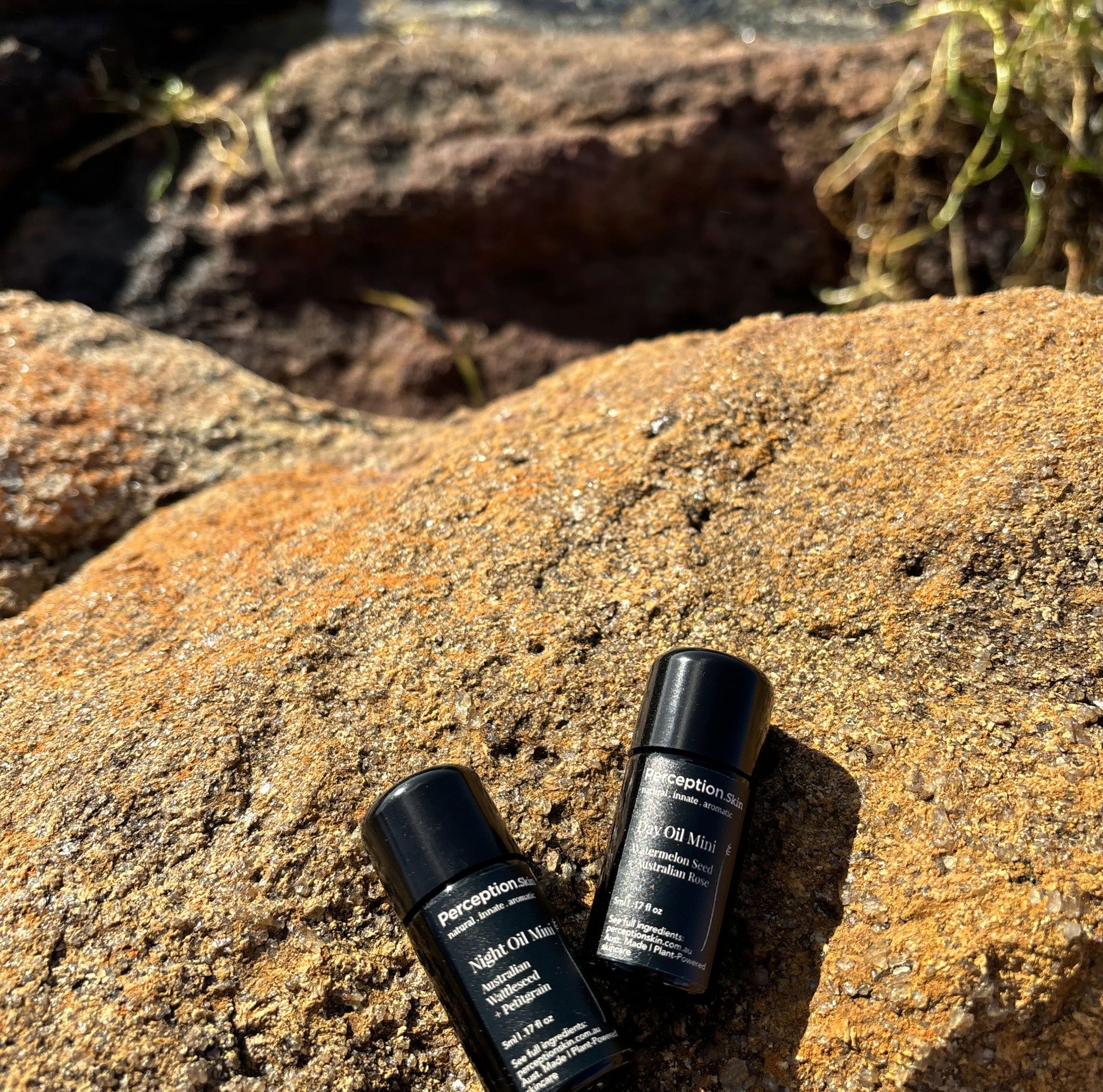 Day + Night Mini Rituals - Perception Skin