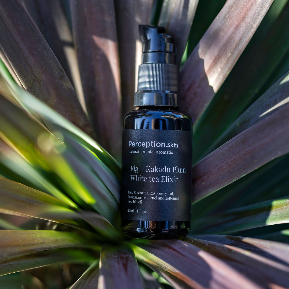 Perception Skin bottle of Fig + Kakadu Plum White Tea Elixir on a leafy background