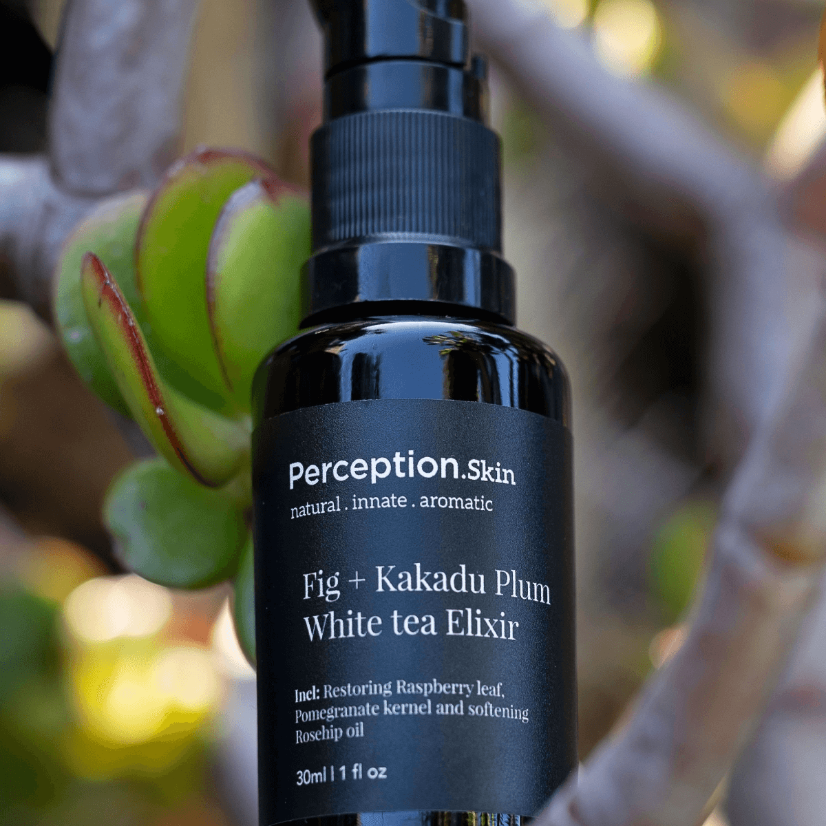 Gold - Winning Kakadu + Australian Rose Duo - Perception Skin