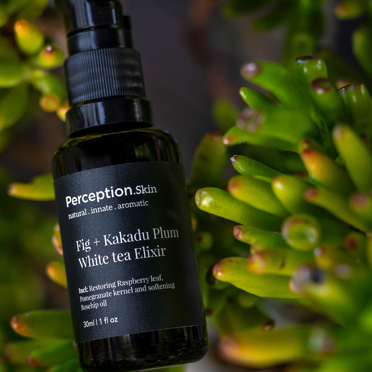 Perception Skin Fig + Kakadu Plum White Tea Elixir bottle against a green leafy background
